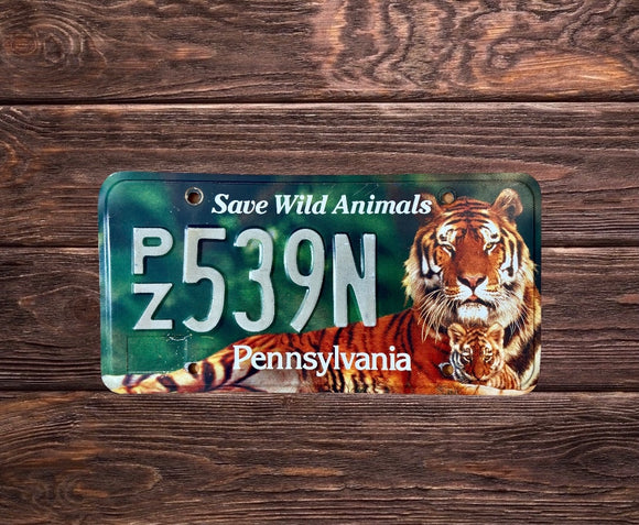 Pennsylvanie Tiger Wild PZ539N