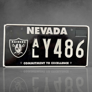 RARE - Nevada NFL Las Vegas Raiders ALY486