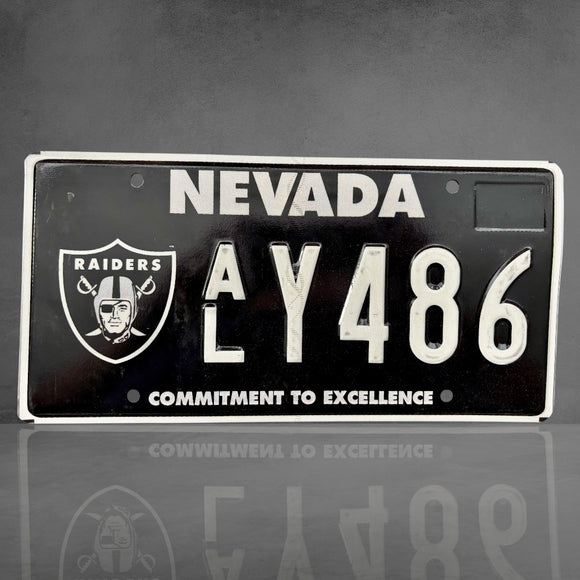RARE - Nevada NFL Las Vegas Raiders ALY486