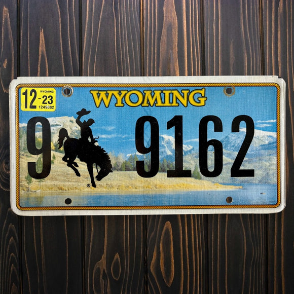Wyoming 99162