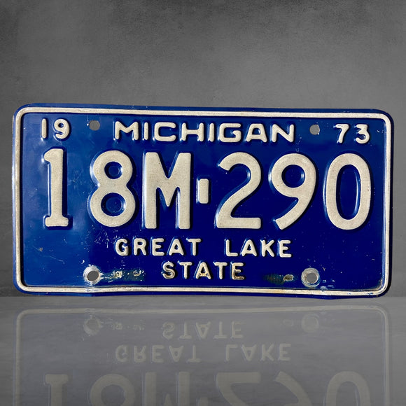 Michigan 1973 - 18M 290