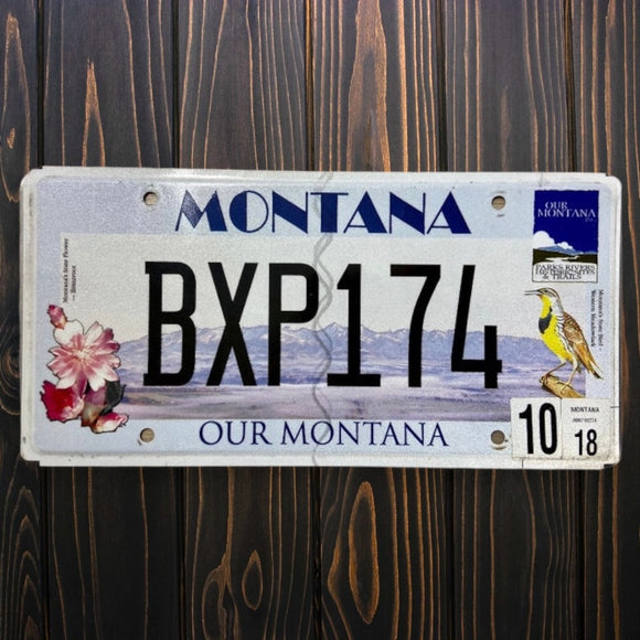 Montana Our Montana BXP 174