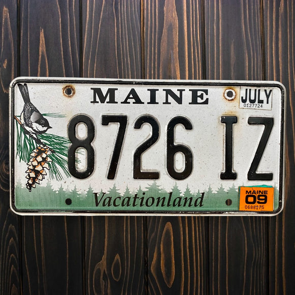 Maine Vacationland 8726 IZ