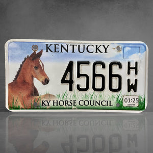 Kentucky Horse 4566 HW