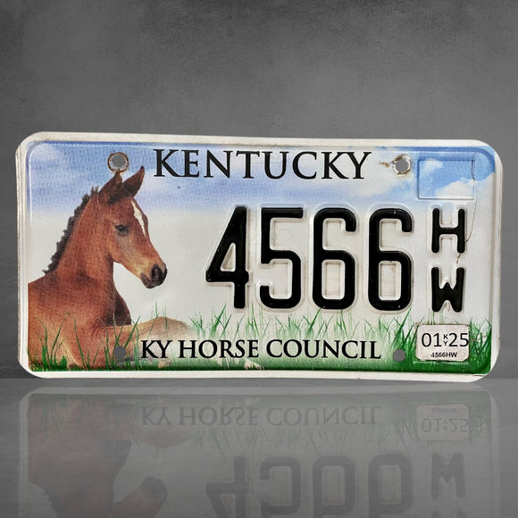 Kentucky Horse 4566 HW