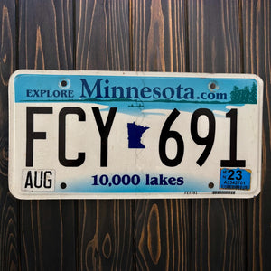 Minnesota Lakes FCY 691