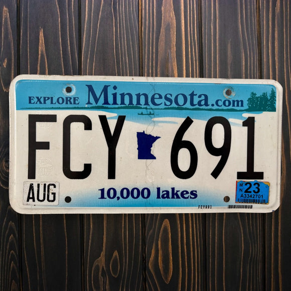 Minnesota Lakes FCY 691
