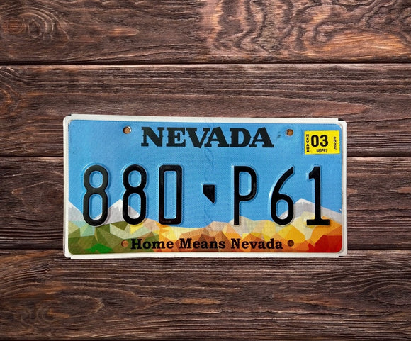 Nevada Home Means 88O P61