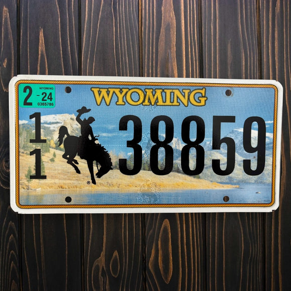 Wyoming 11 38859
