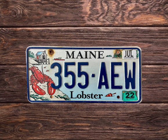 Maine Lobster 355 AEW