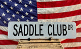 Véritable panneau de rue Américain - 60,5cm x 15cm - Import USA - SADDLE CLUB Dr.