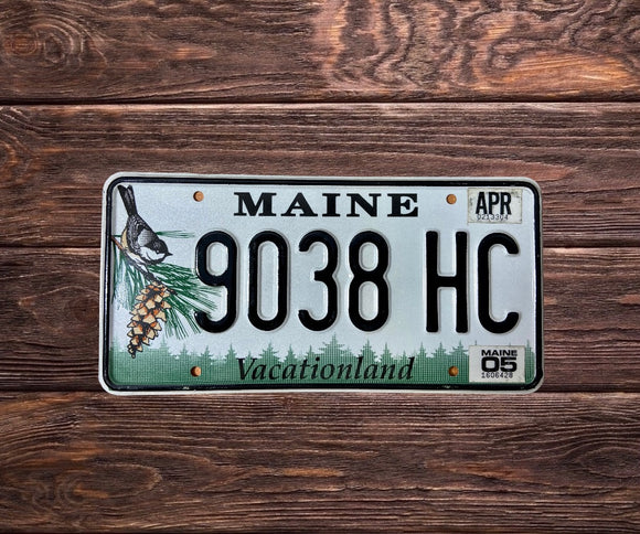 Maine Vacationland 9038 HC