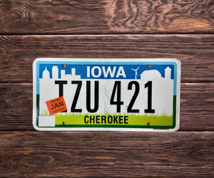 Iowa Cherokee IZU 421