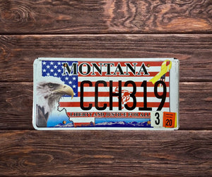 Montana Liberty and Justice CCH 319