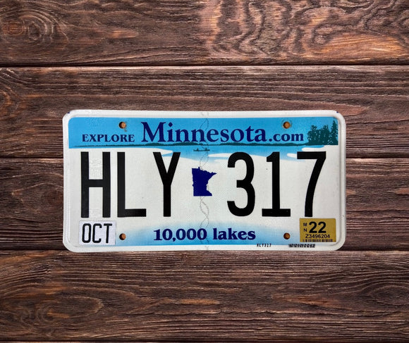 Minnesota Lakes HLY 317