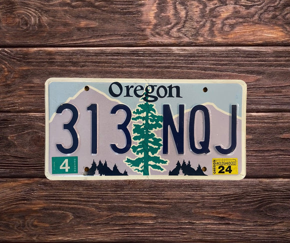 Oregon 313 NQJ