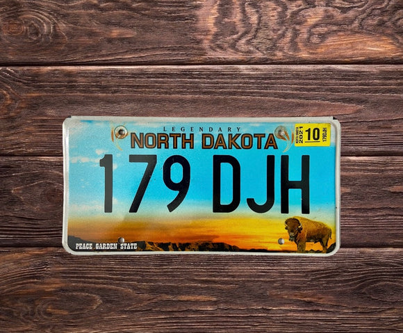 Dakota du Nord Bison 179 DJH