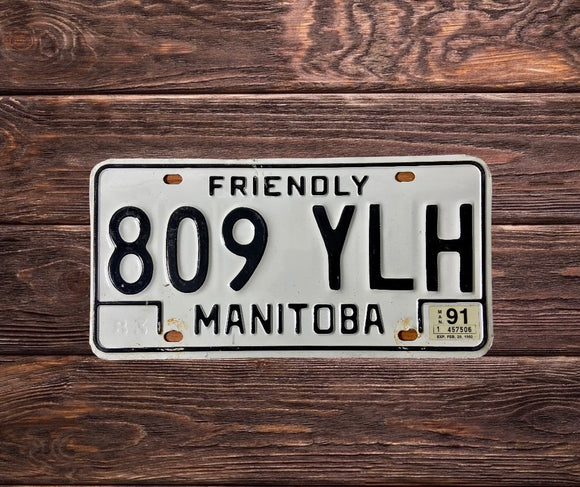 Manitoba Friendly 809 YLH