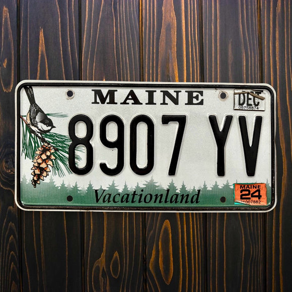 Maine Vacationland 8907 YV