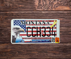 Montana Liberty and Justice CCH 334