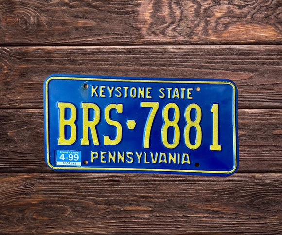 Pennsylvanie Blue BRS 7881