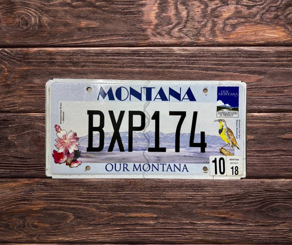 Montana Our Montana BXP 174