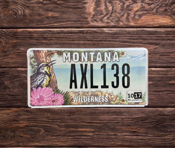 Montana Wilderness AXL138