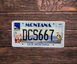 Montana Our Montana DCS 667