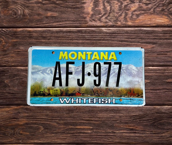 Montana Whitefish AFJ 977