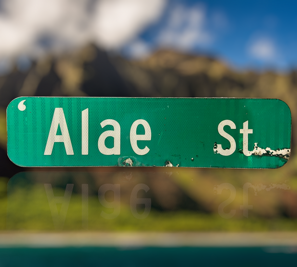 Véritable panneau routier en provenance d’Hawaii ! Alae Street - 15x61cm