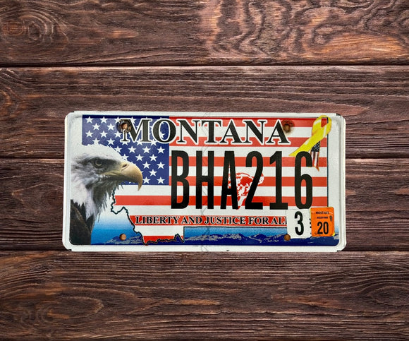 Montana Liberty and Justice BHA 216