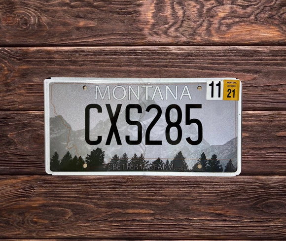 Montana Rocky Mountain CXS 285